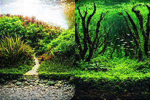 SKRw PAINEL IMAGEM DECOR 40 ALT 1CM COD-9084/9085