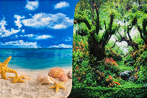 SKRw PAINEL IMAGEM DECOR 50CM 15MT COD-8011/8012