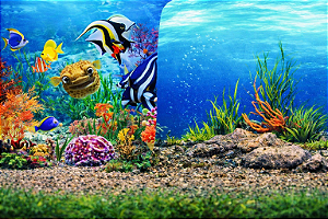 SKRw PAINEL IMAGEM DECOR 50CM 15MT COD-9093/9094