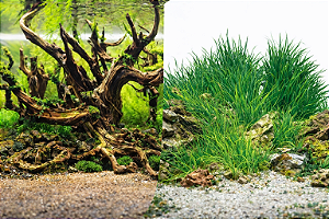 SKRw PAINEL IMAGEM DECOR 50CM 15MT COD-9098/9030