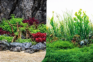 SKRw PAINEL IMAGEM DECOR 60CM 15MT COD-8023/8038