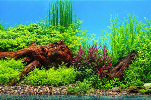 SKRw PAINEL IMAGEM DECOR 60CM 15MT COD-9008/9021