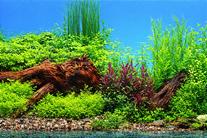 SKRw PAINEL IMAGEM DECOR 60CM 15MT COD-9009/9021