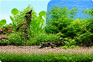 SKRw PAINEL IMAGEM DECOR 60CM 15MT COD-9011/9031