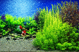 SKRw PAINEL IMAGEM DECOR 60CM 15MT COD-9019/9033