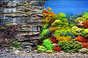 SKRw PAINEL IMAGEM DECOR 60CM 15MT COD-9035/9036