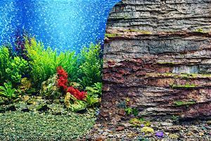 SKRw PAINEL IMAGEM DECOR 100 ALT 1CM COD-9019/9035