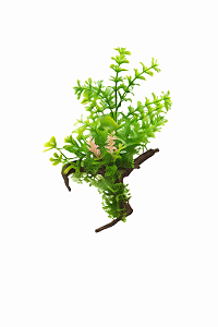 SKRw PLANTA ARTIFICIAL K-720 14X22CM GALHO VERDE