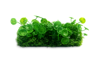 SKRw PLANTA ARTIFICIAL LX-M 944 26X13X3CM VD