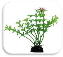 SKRw PLANTA ARTIFICIAL LX-S 355 8CM C/ 10 UNID