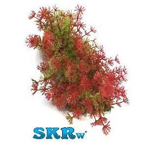 SKRw PLANTA ARTIFICIAL M-638 16X16CM MOITA VD/VM