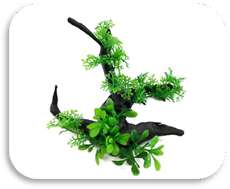 SKRw PLANTA ARTIFICIAL P-503 14X11X11 TRONCO VERDE