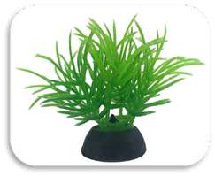 SKRw PLANTA ARTIFICIAL S-237 5CM RASTEIRA VD-MOITA