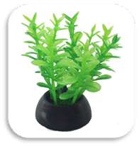 SKRw PLANTA ARTIFICIAL S-240 5CM RASTEIRA ELODEA