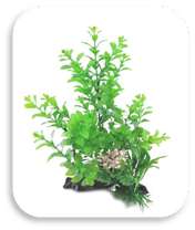 SKRw PLANTA ARTIFICIAL T 820 15X30CM VERDE