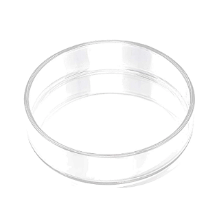 SKRw PRATO DE VIDRO ALIMENTAR CAMAROES 6,5CM XP65