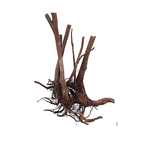 SKRw RAIZ ORNAM. 3Y/B GG - ESCURO - 50-200 CM KL