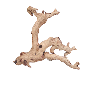 SKRw RAIZ ORNAM. BELL WOOD 60-80 CM - KL