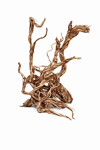 SKRw RAIZ ORNAM. RETORCIDA WOODS 5X200CM - KL