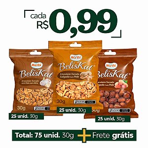Amendoim Torrado Salgado Kit com 75 und. de 30g