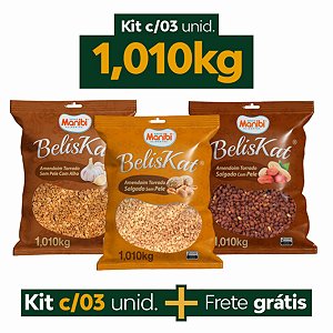 Amendoim Torrado Salgado Kit com 03 und. de 1,010kg