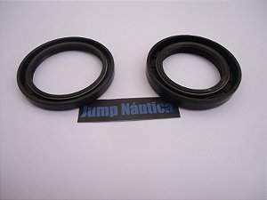 RETENTOR VIRA YAMAHA  48 -55  2c KIT