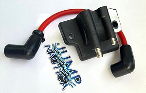 BOBINA JOHNSON 2 A 250 HP E CABO VELA