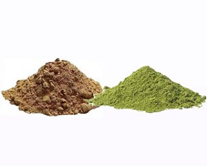 MORINGA + MACA NEGRA 500G
