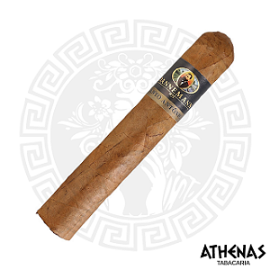 CHARUTO - DANNEMANN SANTO ANTONIO ROBUSTO (1 UN)