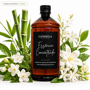 Essência para Máquina de Aromatização Spring