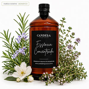 Essência para Máquina de Aromatização Alecrim Fresco