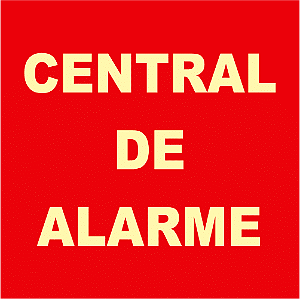 Placa Central De Alarme CA 20x20