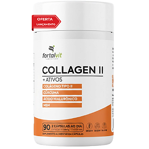 Colágeno Tipo 2 + ATIVOS Cúrcuma, Ácido Hialurônico e MSM - 90 Cápsulas, 45 dias de uso, Fortalvit
