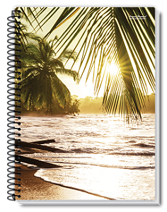 Caderno Universitário 10 Matérias 200 Folhas New Pauta Branca