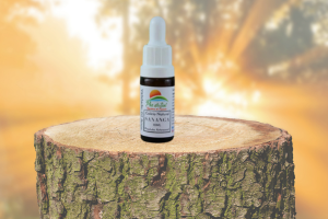 COLÍRIO INDÍGENA - SANANGA (10ml)