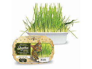 Green Digestive G. Graminha P/ Gatos 50g