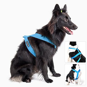 Peitoral Porte Grande Animal Zen