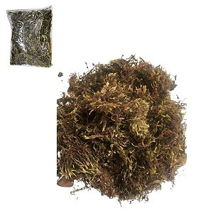 GRAMA MUSGUINHO DECORATIVA 20GR  TERRA BRASIL