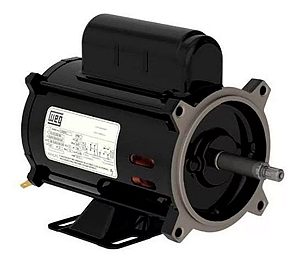 MOTOR WEG JET-PUMP 1/2 CV PALITO