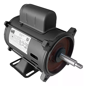 MOTOR WEG JET-PUMP 1,0 CV PALITO