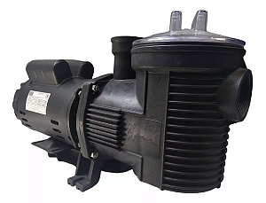 MOTOBOMBA SIBRAPE 1,5 CV MONOF (COM MOTOR WEG)