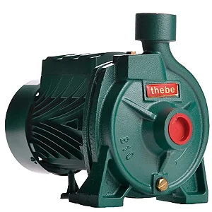 BOMBA THEBE 1/2 CV MONOF BIVOLT B-10 (COM MOTOR THEBE)