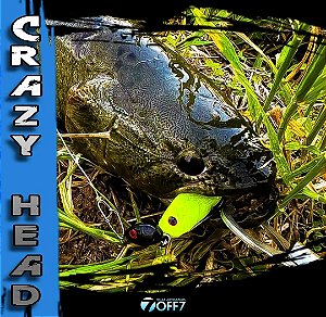 Crazy Head Off 7