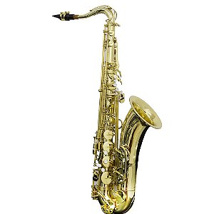 Saxofone Tenor Ts 200 Laqueado Dourado Com Case New York