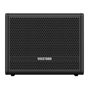 Amplificador Para Baixo 10 Pol 40w Vosstorm Bs-10