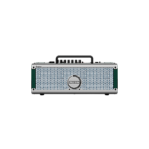 Amplificador Para Guitarra Vosstorm Swamp 23