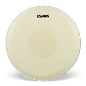 Pele Para Conga 11' Extended Evans Tri-Center EC1100E
