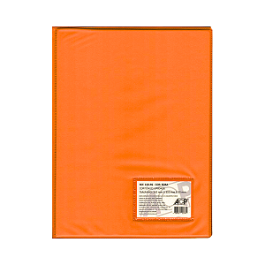 PASTA CATALOGO ACP LARANJA C/20 ENV