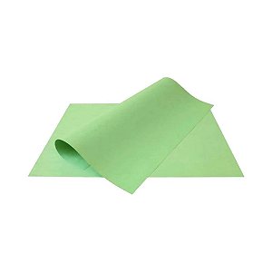 CARTOLINA ESCOLAR VERDE 50X66 140G
