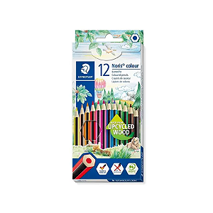 LAPIS DE COR STEADTLER 12 CORES